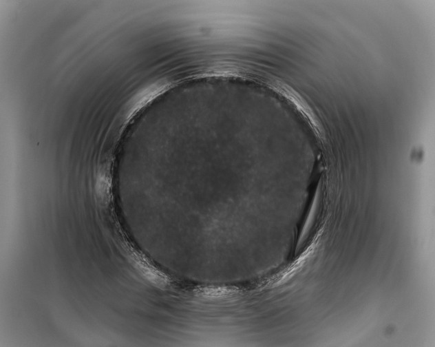 X0000100380826200806131057