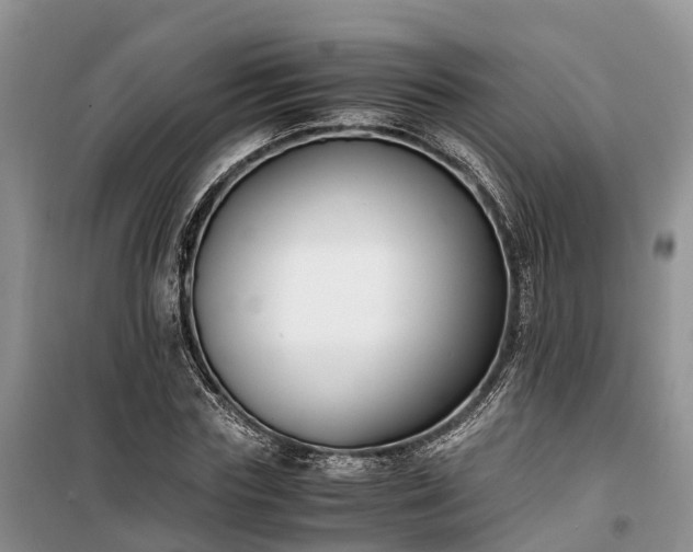 X0000100380827200806131057