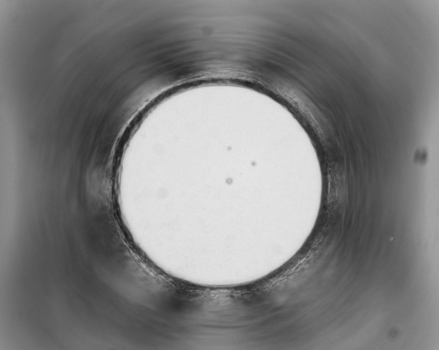 X0000100380828200806131057