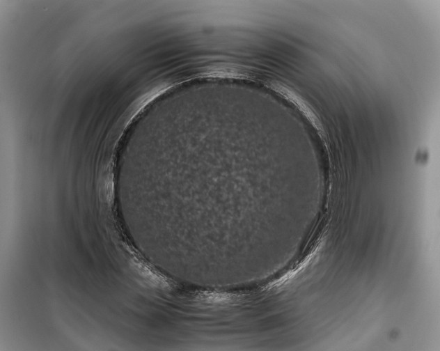 X0000100380829200806131057