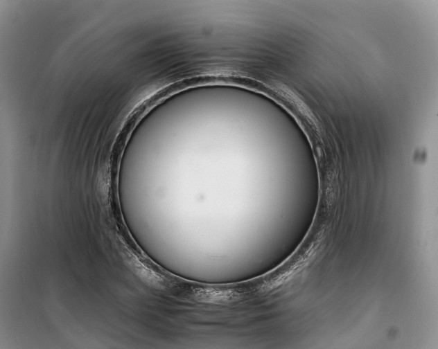 X0000100380831200806131057