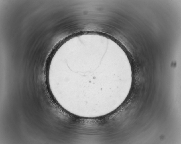 X0000100380832200806131057