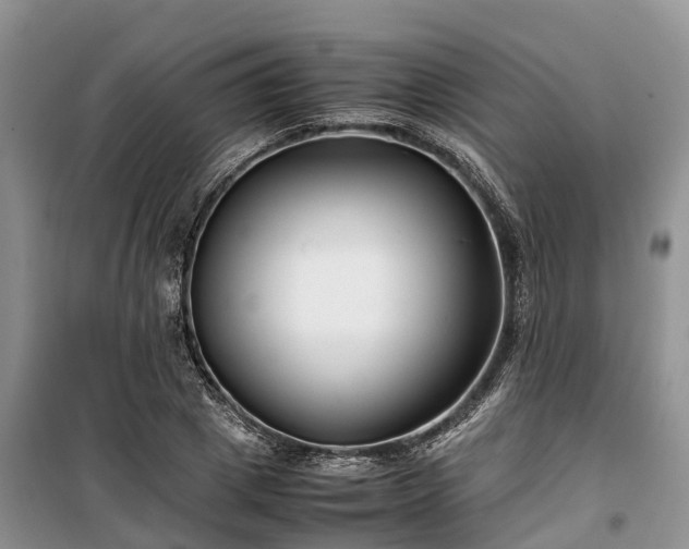 X0000100380833200806131057