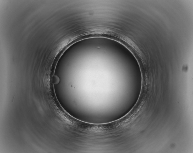 X0000100380834200806131058