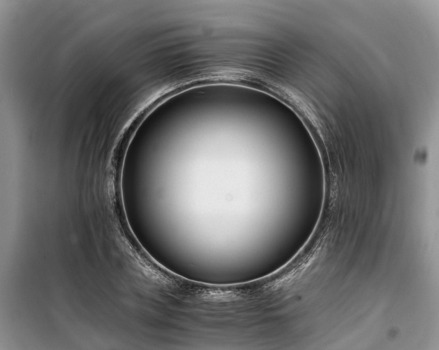 X0000100380835200806131058