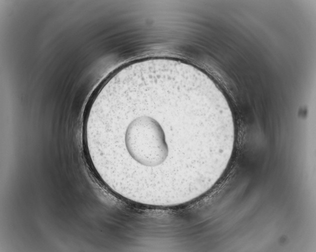 X0000100380836200806131058