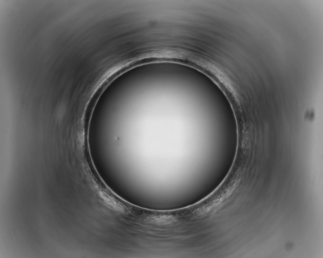 X0000100380837200806131058