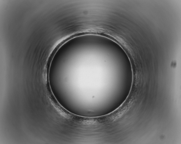 X0000100380838200806131058