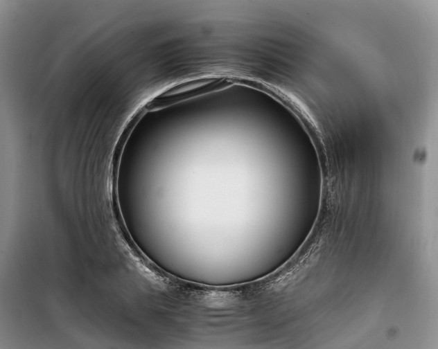 X0000100380839200806131058