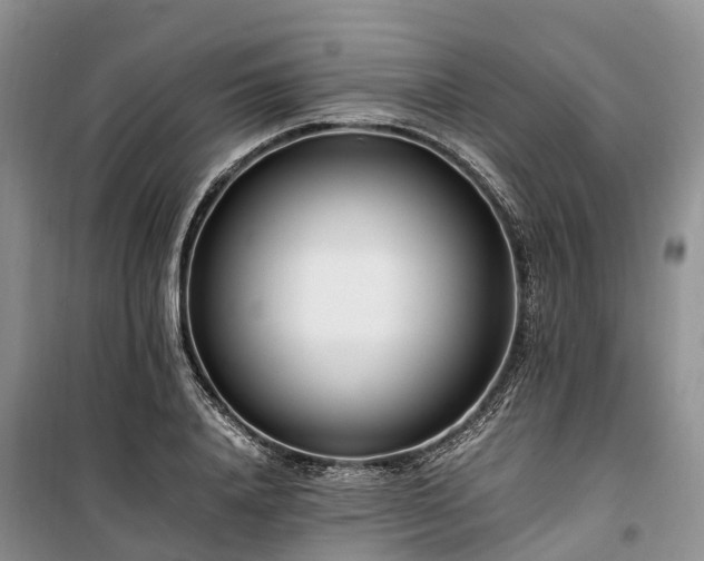X0000100380840200806131058