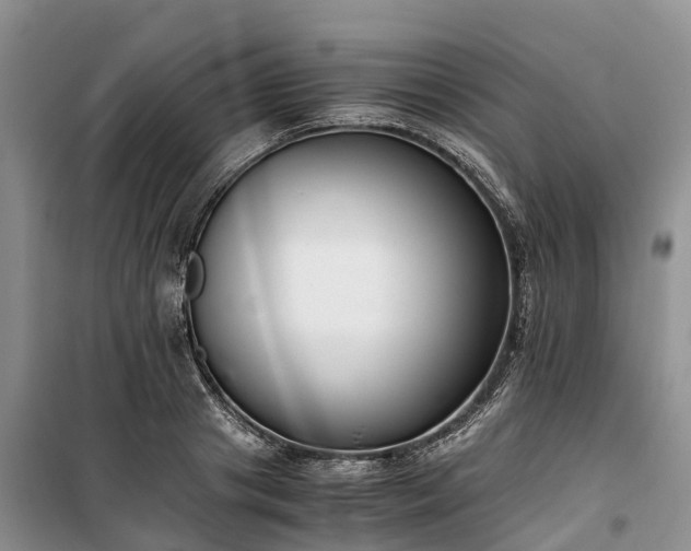 X0000100380841200806131058