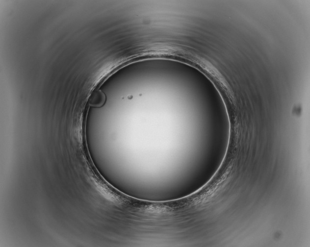 X0000100380842200806131058