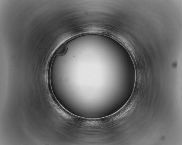 X0000100380843200806131058