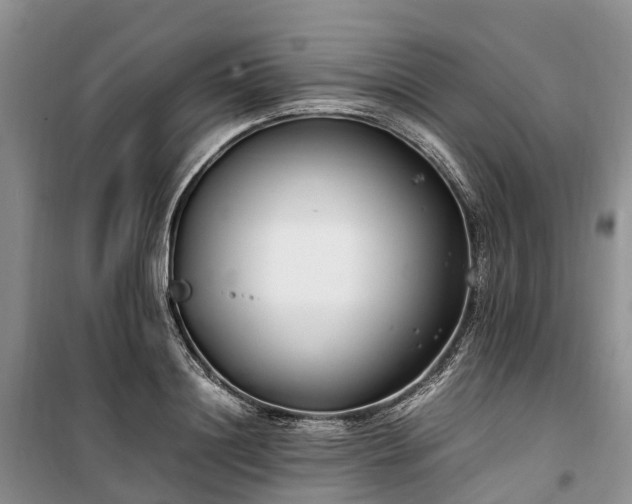 X0000100380844200806131058