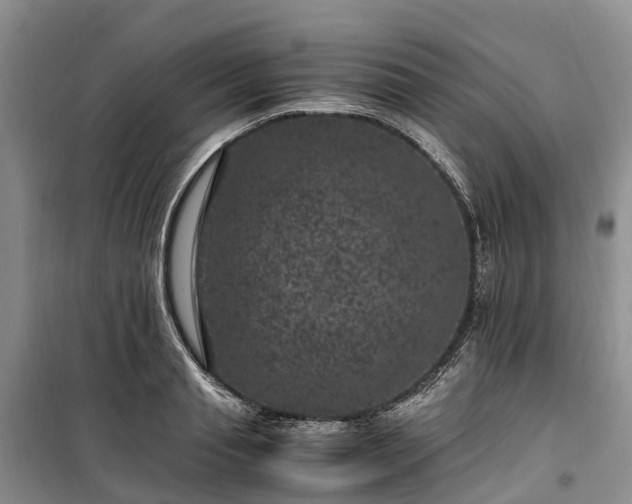 X0000100380845200806131058