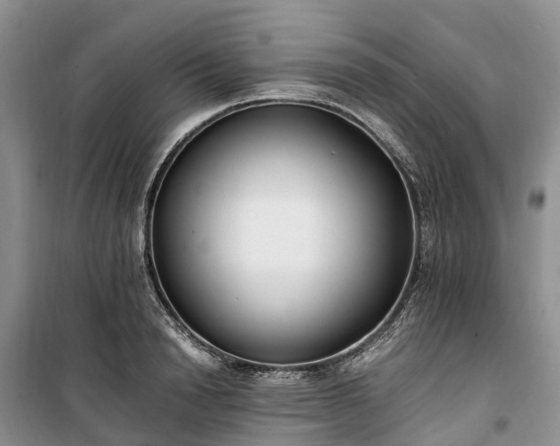 X0000100380846200806131058