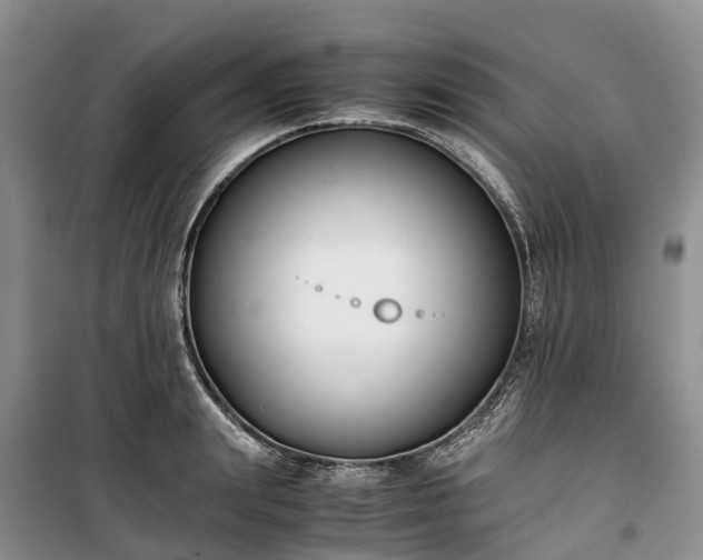 X0000100380847200806131058