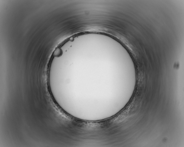 X0000100380848200806131058