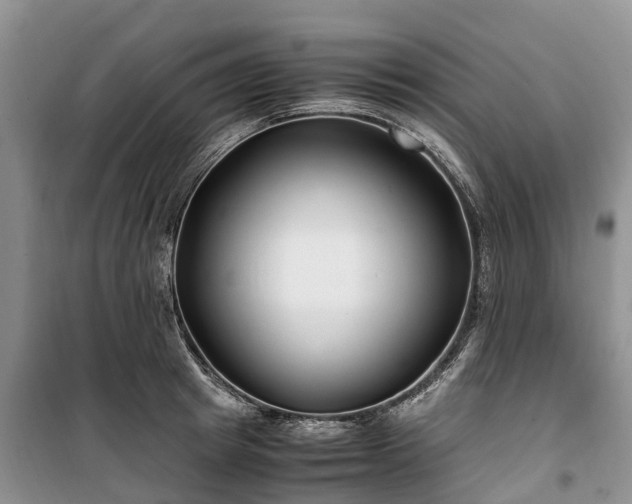 X0000100380849200806131058