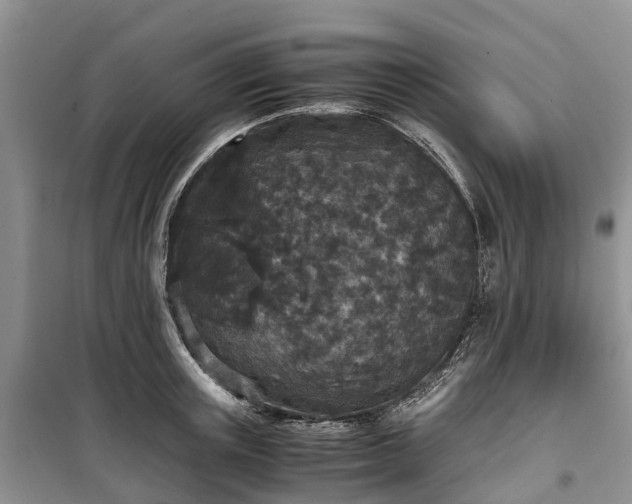 X0000100380851200806131058