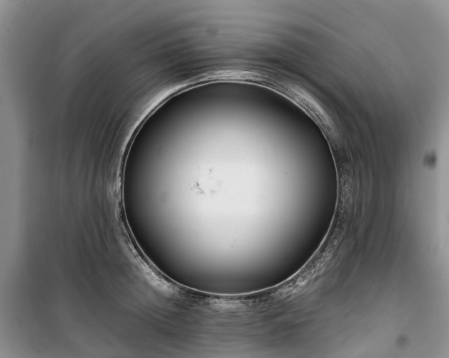 X0000100380852200806131058