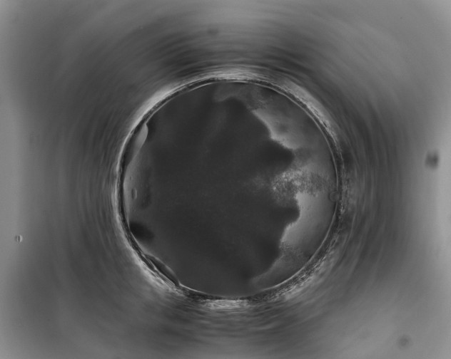 X0000100380853200806131058