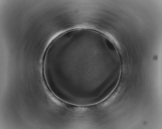 X0000100380854200806131058