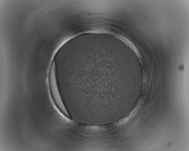 X0000100380855200806131058