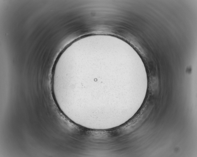 X0000100380856200806131058