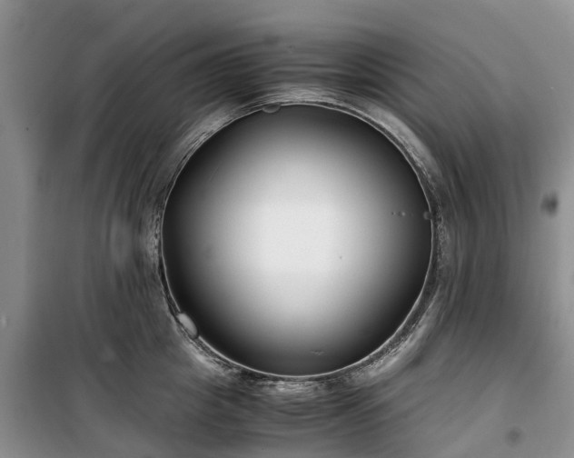 X0000100380857200806131058