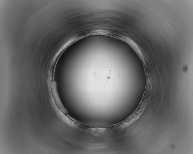 X0000100380859200806131058