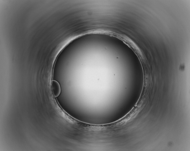 X0000100380860200806131058
