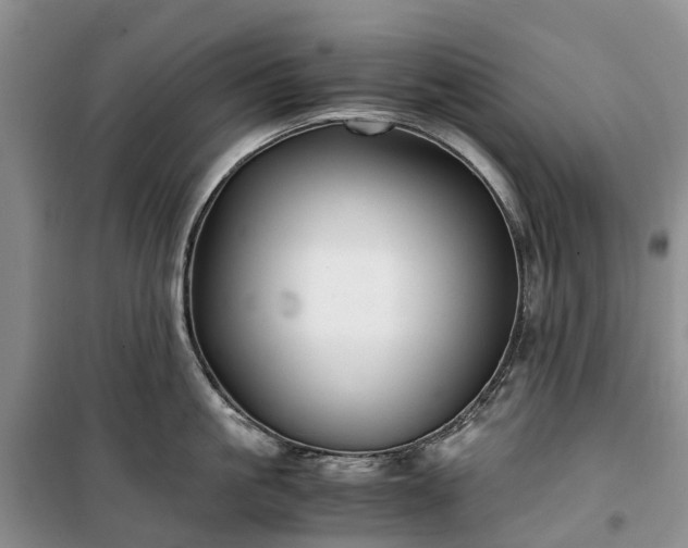 X0000100380861200806131058