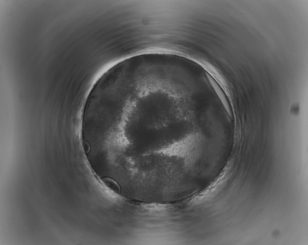 X0000100380862200806131058