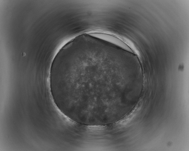 X0000100380863200806131058