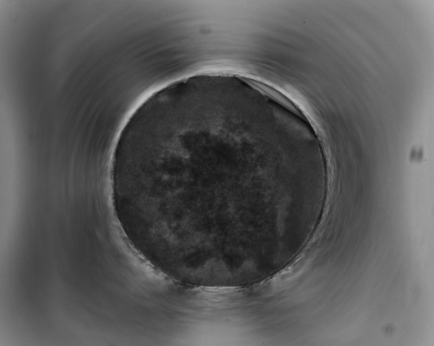 X0000100380864200806131058