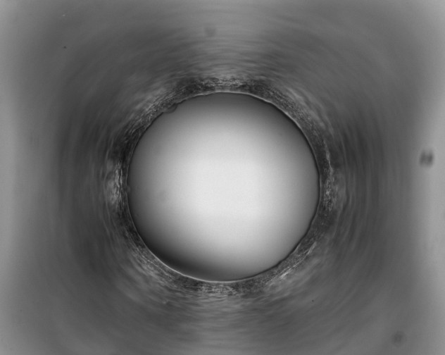 X0000100380866200806131057
