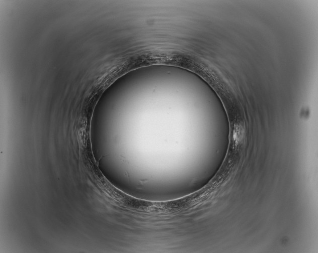 X0000100380867200806131057