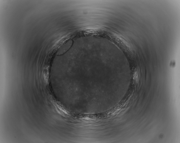 X0000100380868200806131057