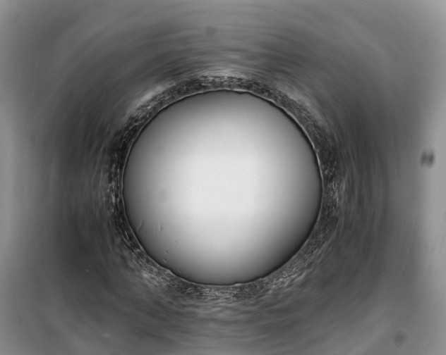 X0000100380870200806131057