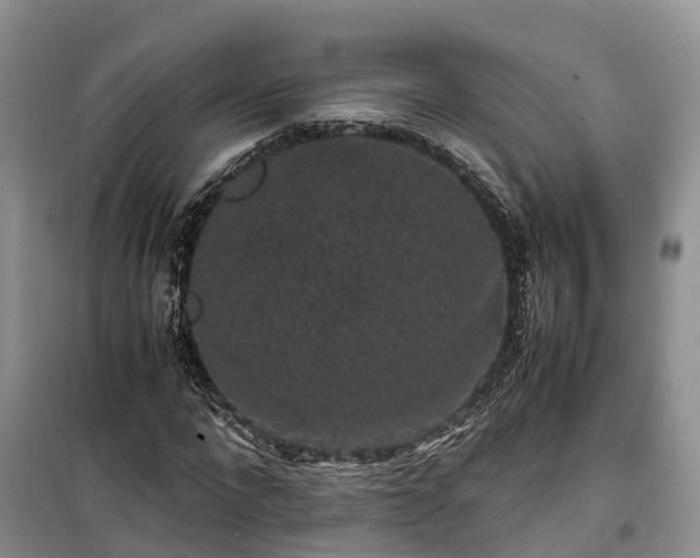 X0000100380872200806131057