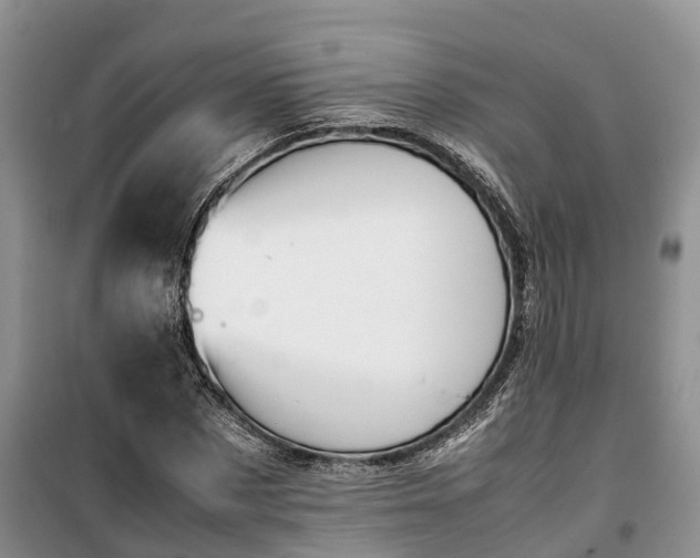 X0000100380873200806131057