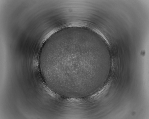 X0000100380874200806131057