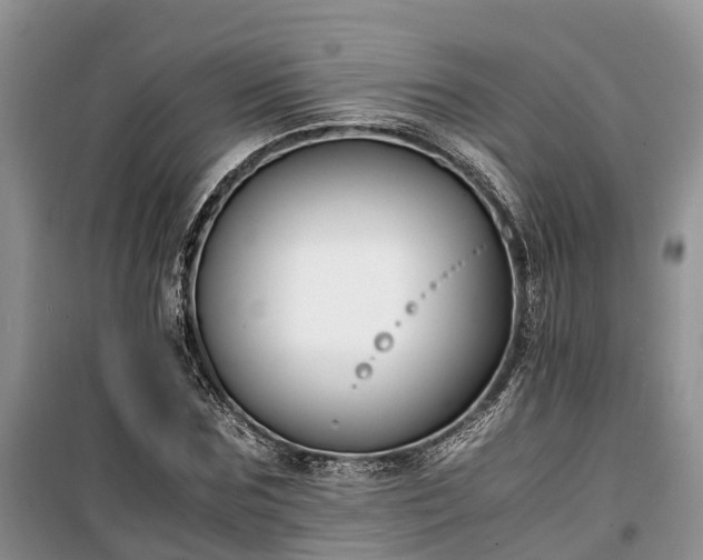 X0000100380875200806131057