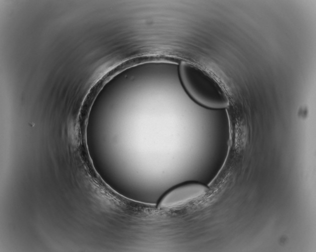 X0000100380876200806131057