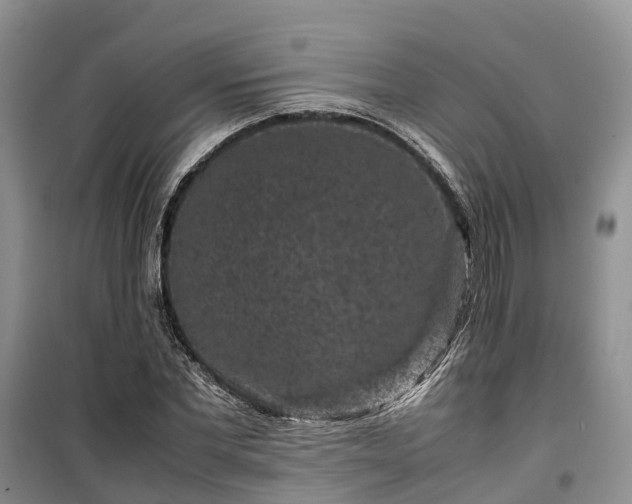 X0000100380877200806131057