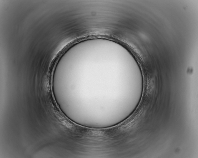 X0000100380878200806131057