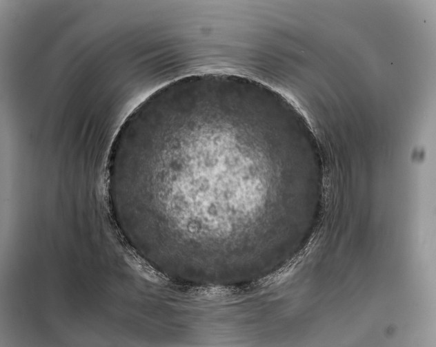 X0000100380879200806131057