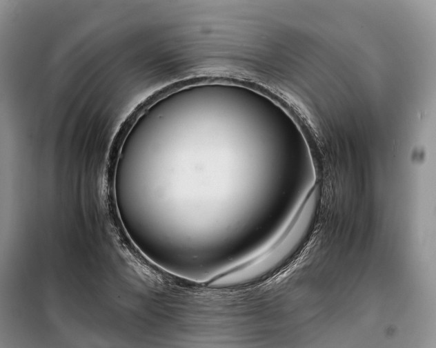 X0000100380880200806131057
