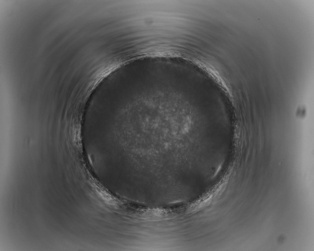 X0000100380881200806131057